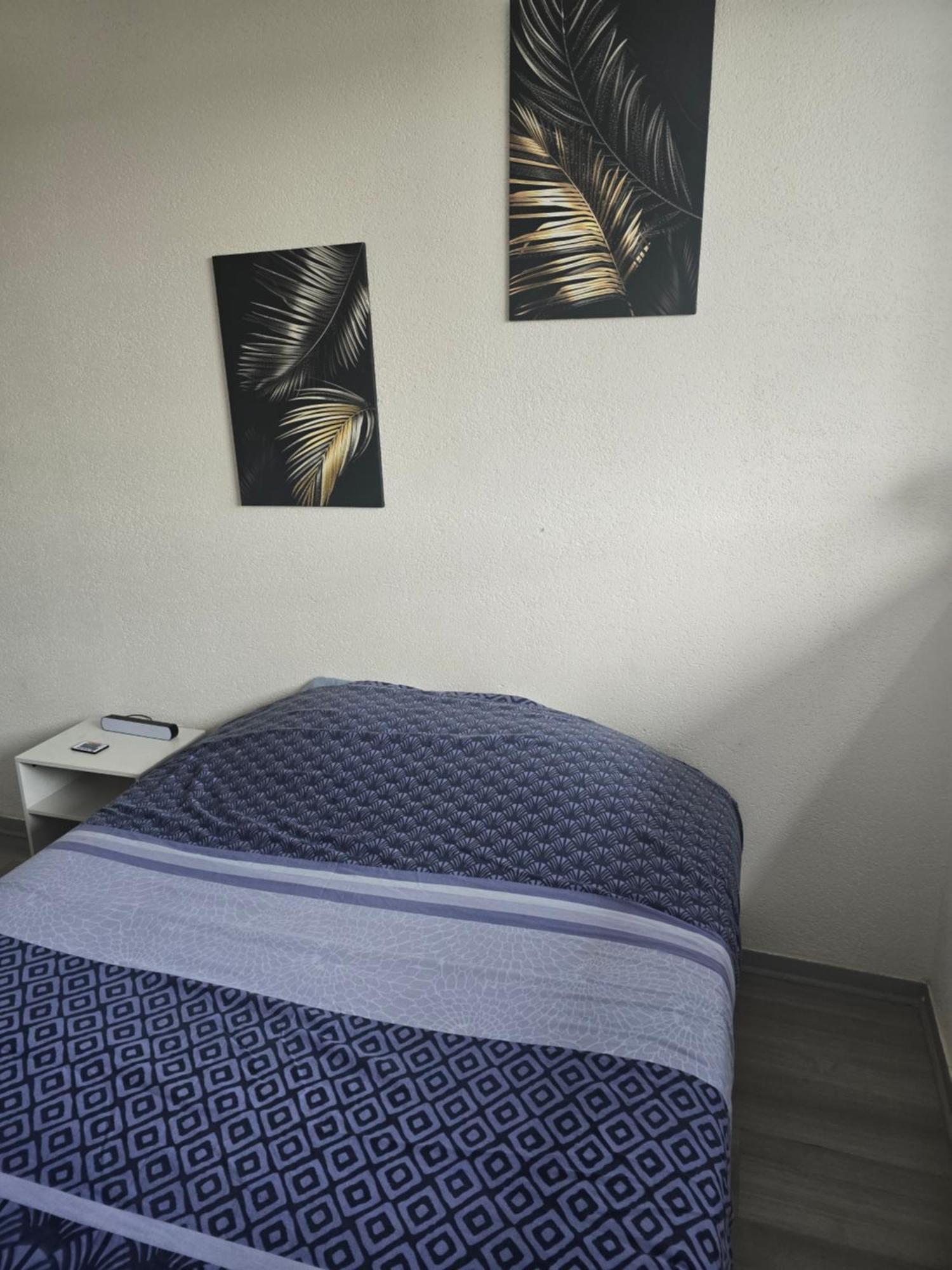 Cocon Wifi Netflix Parking Gratuit Belfort Exterior foto